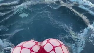 Amber Hayes Naughty Leaks in Full HD