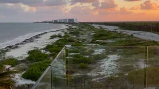 lupuwellness sectape