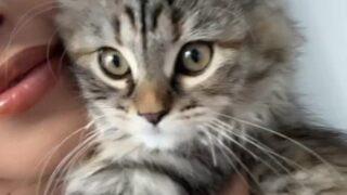 Erotic VR nude session starring Sophialeone