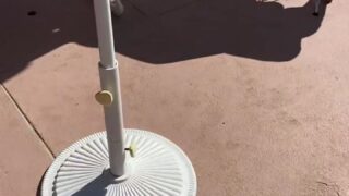 Francety leaked sex scenes free access