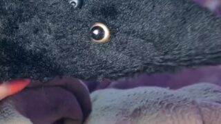 foopahh trend tiktok