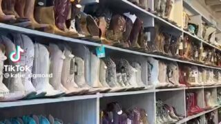 katie sigmond leaked nides