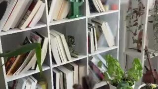 Demisutra leaked xxx videos in 4K available