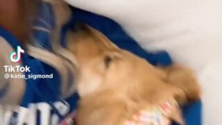 katie sigmond leaked getting fucked