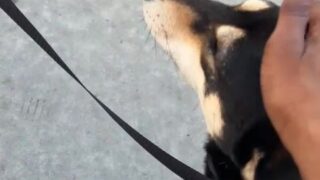 Demisutra exclusive onlyfans leaks HD