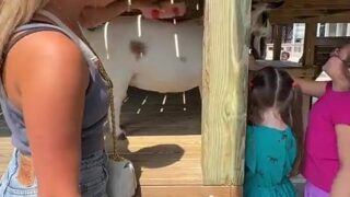 katie sigmond only fans leaked.