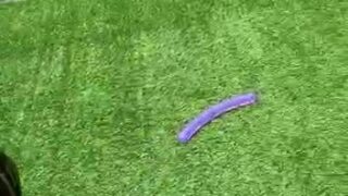 Luna Alessandra leaked full porn scene