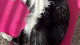 lauralux leaked onlyfans