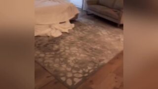 Francety leaked porn pics and videos in HD