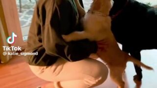 katie sigmond leaked only fans pictures