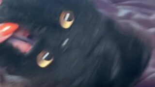 foopahh trixie nudes