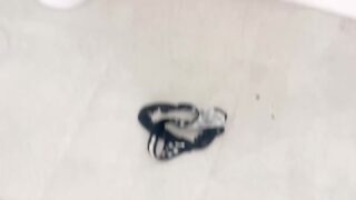 cheerleaderkait feet