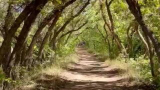 Daisy Keech sexy private leak streaming now