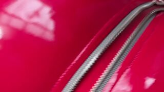 fehgalvao blowjob porn gallery