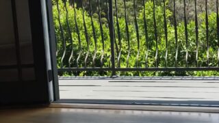 adrianachechik tgirl