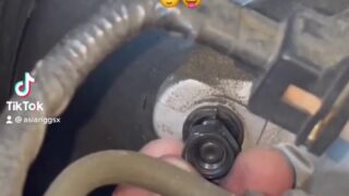 asiariggsx free nude gallery