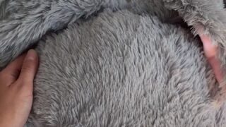 asiariggsx exclusive tits leaks