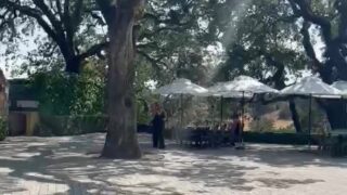 Daisy Keech playful premium cam content free