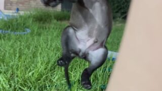 Naughty Mewslut hardcore scenes leaked