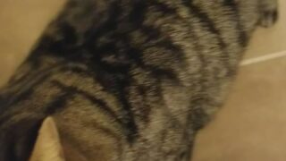 Embersnow pussy close-up video exposed free