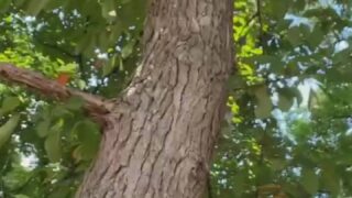 Daisy Keech wild steamy scenes leak free