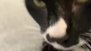 Shyla Jennings intimate erotic leak photos