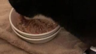 Shyla Jennings big tits leaked content