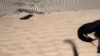 Shyla Jennings HD leak video download