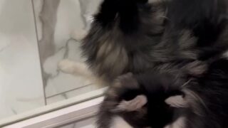 Jailyneojeda leaks previews reddit