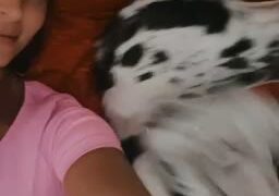 Splatxo pussy fetish videos leaked