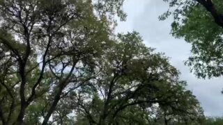 Shyla Jennings softcore leak collection