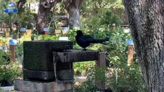 Shyla Jennings erotic leak exposed