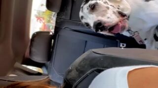 Splatxo nude leaks exposed