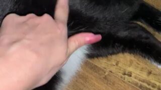 Shyla Jennings free leak video online