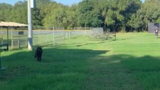 Shyla Jennings solo leak erotic content