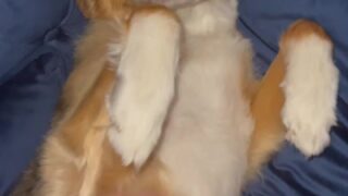 Courtney Tailor private nude clips leaked