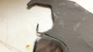 Felicia Vox private nude video revealed