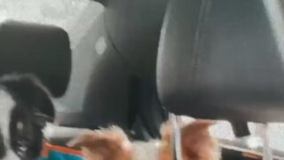 Courtney Tailor hot big tits moments revealed