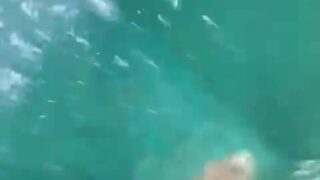 Dahyn11 erotic teasing pussy moments