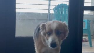 Courtney Tailor intimate sex tape exposed