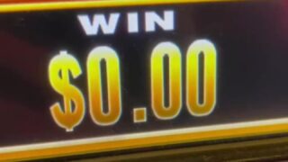 Courtney Tailor sexy pussy cam session