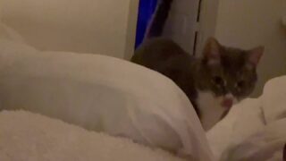 Novaruu cam show ass video trending