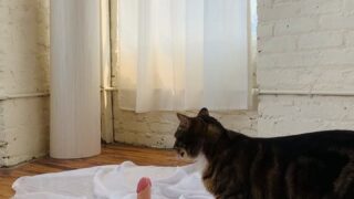 Erna Burn seductive nude ass moments exposed