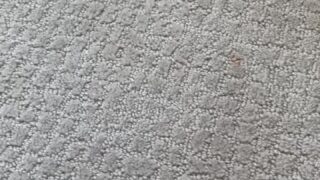 Courtney Tailor seductive ass video exposed