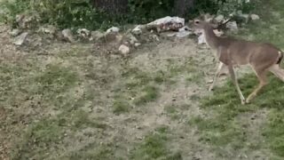 Novaruu erotic ass shots leaked online