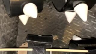 Felicia Vox pussy and tits uncovered