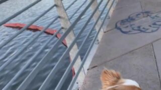 Courtney Tailor onlyfans sexy clips online