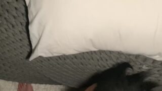 Romantic anal fantasies featuring That1Iggirl exposed