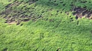 Paige Spiranac deepthroat leak