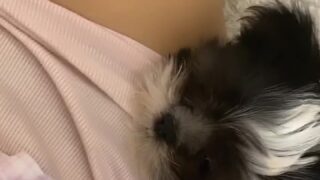 POV titfuck leaked Rosaverte covered in cum